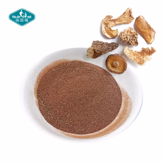 Organic Lion&prime; S Mane Mushroom Plant Extract Hericium Erinaceus Reishi Cordyceps Militaris Mushroom Herbal Powder