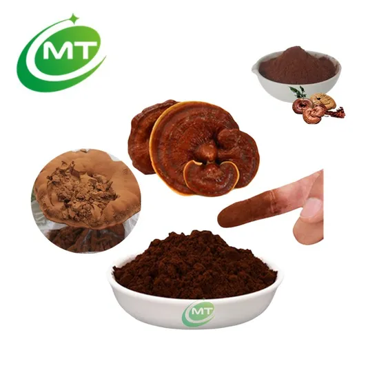 Extracto orgánico de planta de hongo Ganoderma Lucidum, polvo de hierbas de hongo Reishi, extracto de Reishi para suplemento de salud